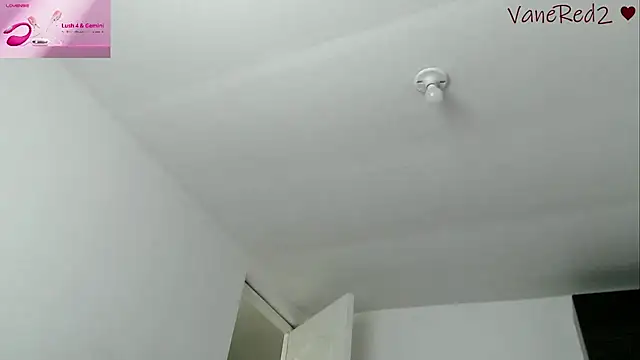 vanered2 webcam