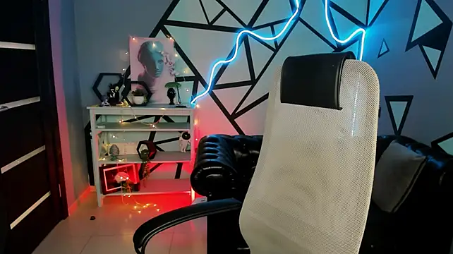 LidaDarknet webcam