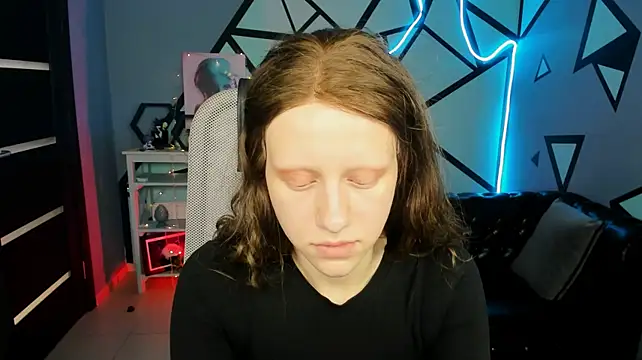 LidaDarknet webcam