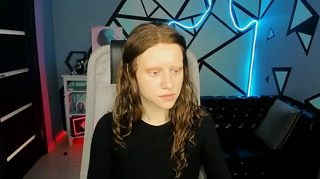LidaDarknet webcam
