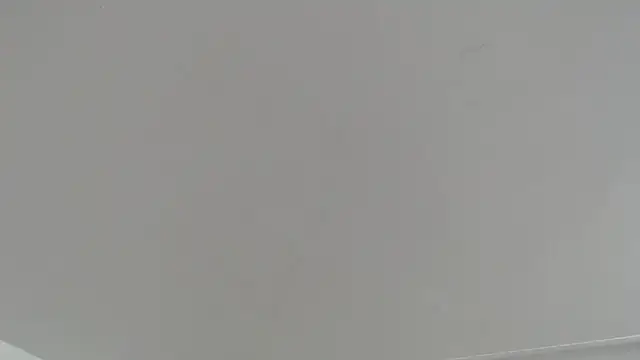 Aronbbc webcam