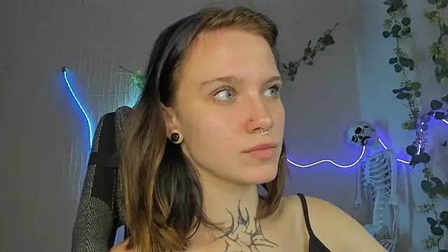 Elastikisss webcam