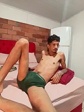 OCamBoy webcam