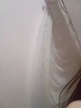 Phoebe-e webcam