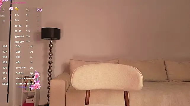 mi-ra webcam