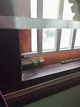 vikkyteluguabbayi webcam