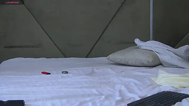 JaneVoss webcam