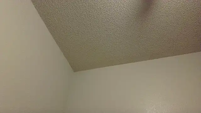 upinyou7 webcam