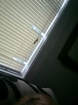 JemJensen30 webcam