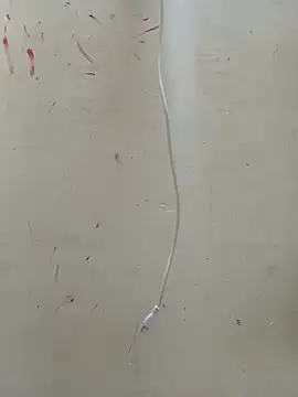 Kittu_Rani25