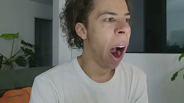 grey___27 webcam
