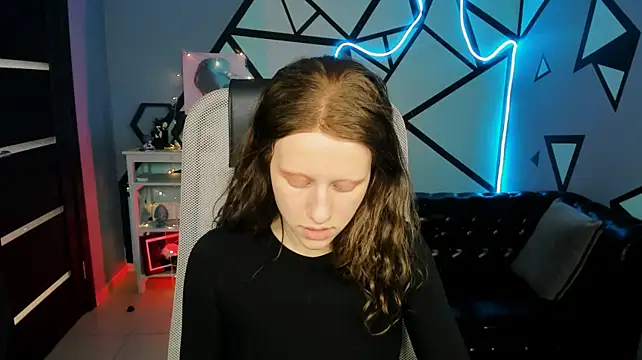 LidaDarknet webcam