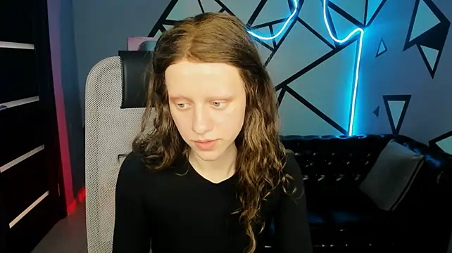 LidaDarknet webcam