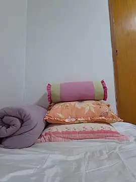 Ssk10N webcam