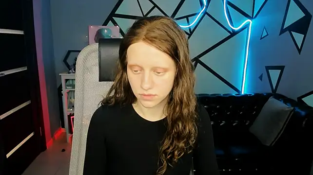 LidaDarknet webcam