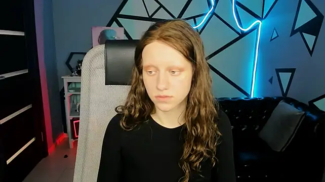 LidaDarknet webcam