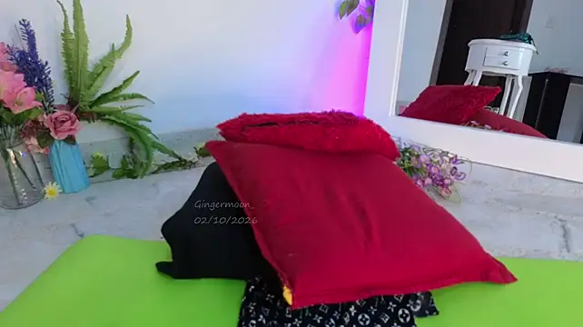 GingerMoon_ webcam