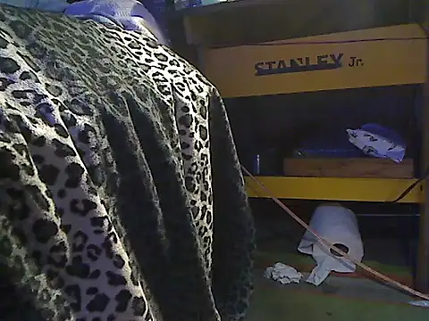 Dreamzluvz2 webcam