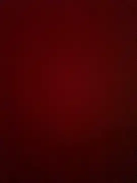 Arya_Black webcam