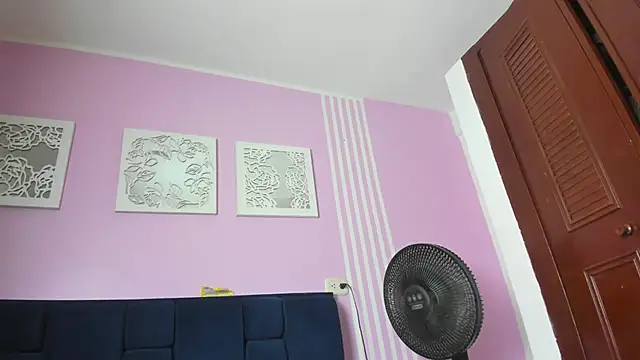 taylor_Stele webcam