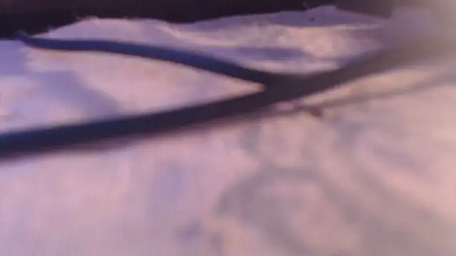 sexynipl webcam