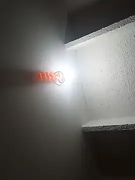 brin8 webcam