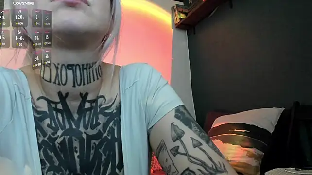 Eurusholmess webcam