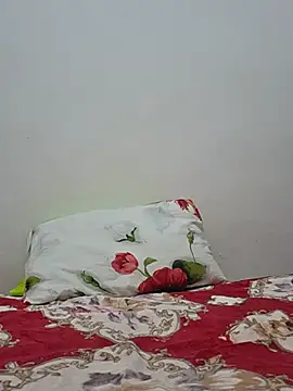 altinya webcam