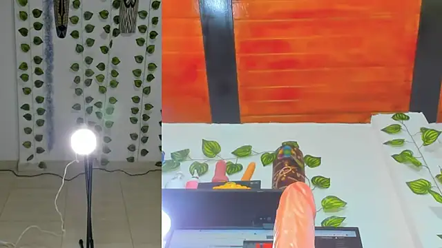 ailany_funny webcam