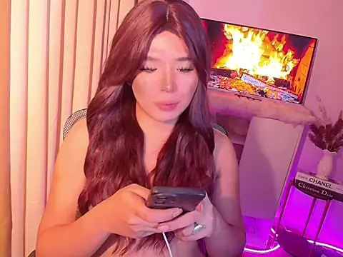 Arisafox webcam