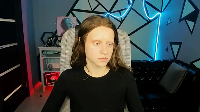 LidaDarknet webcam