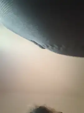 lilianroses webcam