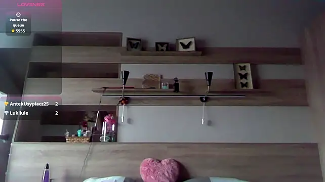 SpaceJet_0Novolyn webcam