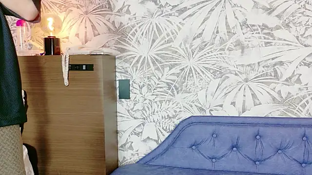 sho_ryu_ken webcam