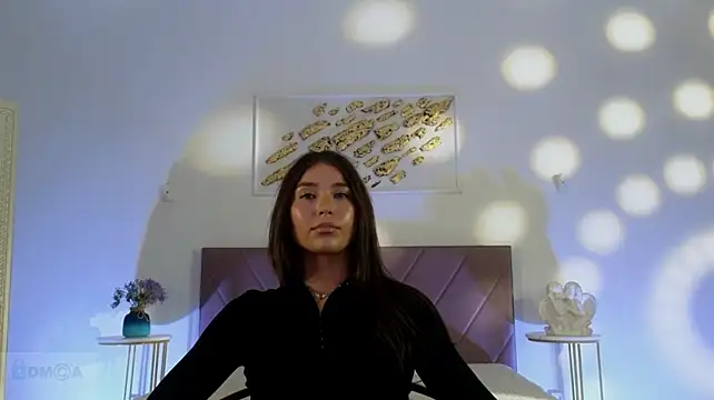 Vi_fi webcam