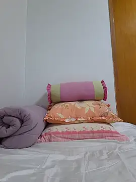 Ssk10N webcam