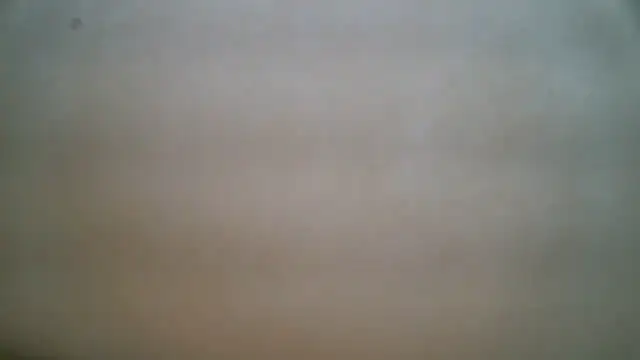 LUCKYMINT webcam