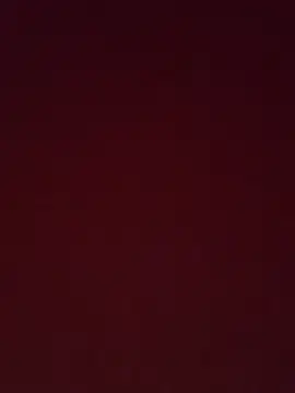 Pol8888 webcam