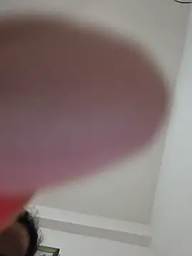 altinya webcam