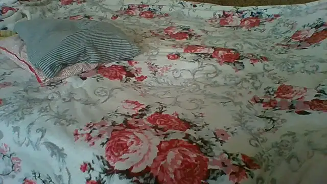MilaSky5303 webcam