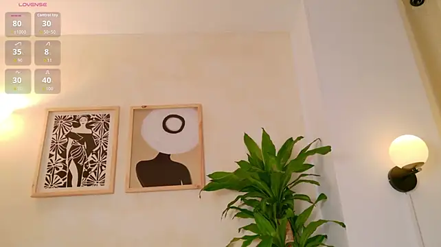 Assh_lee_ webcam