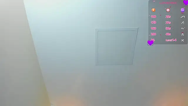 MAGIEVANS1 webcam