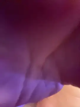 Kiki_hammyy