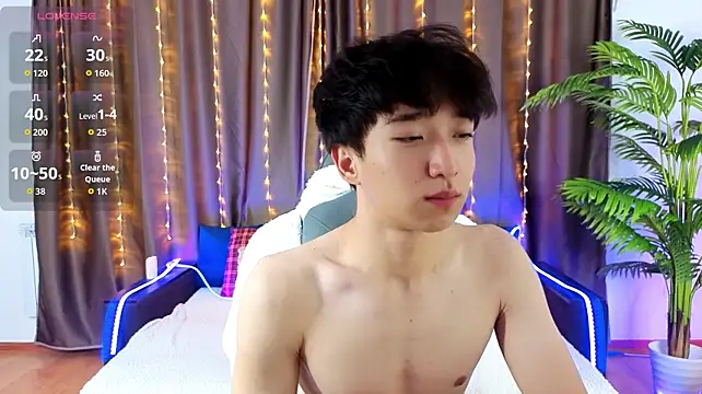 DianInav webcam