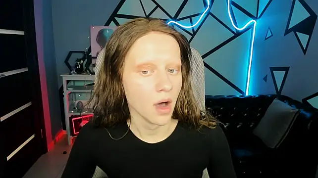 LidaDarknet webcam