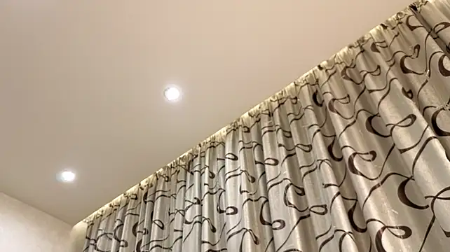 dolly_ll webcam