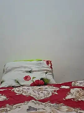 altinya webcam