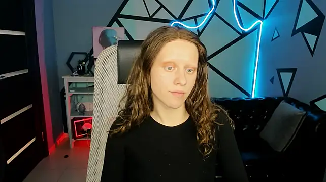 LidaDarknet webcam