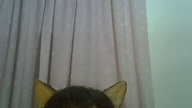 SkinnyKitten webcam
