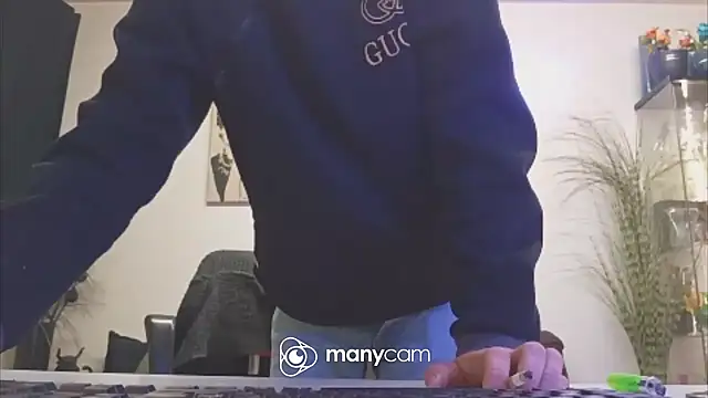 der_dino30 webcam